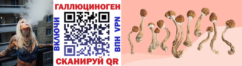 Псилоцибиновые грибы GOLDEN TEACHER  Владикавказ 